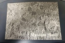 K29: Museum Hauff in
