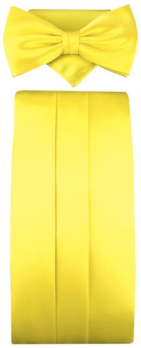 Tigertie kummerbund - tigertie, +