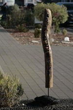 Treibholz - Schwemmholz