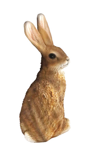 Deko hase hasen - hase, tier
