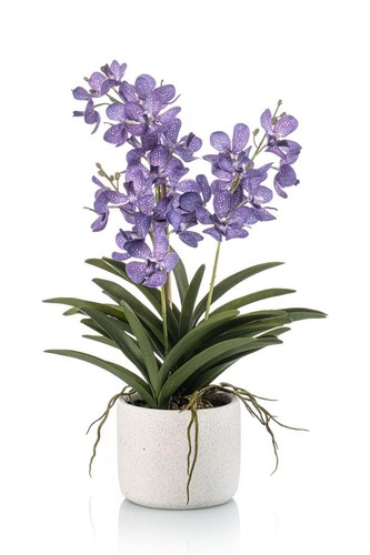 Artplants deko vanda orchidee - deko,