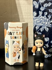 Sonny Angel Black Cat Life