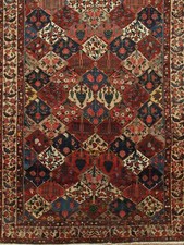 Genuine 11'11" x 17'4"