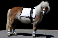 Schabracke Cosima Show Antik Barock SET Minishetty Mini Shetty  Weiß Rot B- WARE