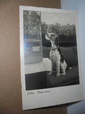 Künstler AK Stiller Bewunderer Hund ( Terrier?) Halsband,Vogel,Käfig gel.2.9.36