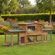 Hasen Kaninchen Stall