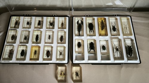 Minibiester sammlung 32 - sammlung, |