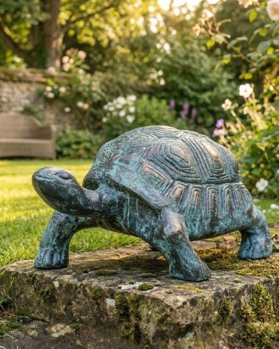 Elegante schildkröte garten - schildkröte,