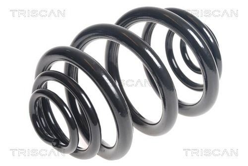 Triscan spiralfeder hinten - spiralfeder,,
