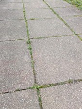 Gehweg- / Terrassenplatten