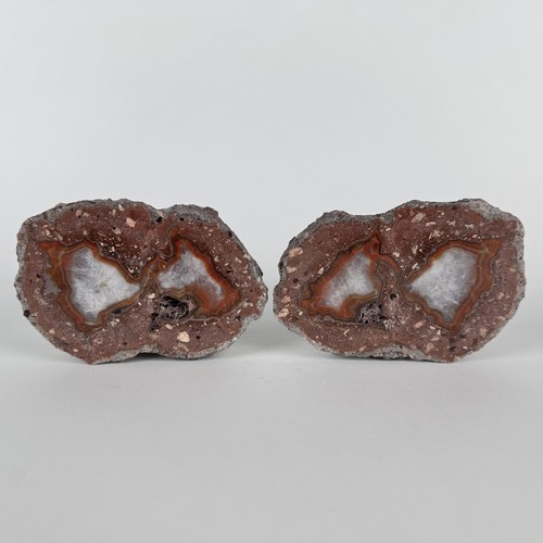 Schneekopfkugel pärchen mit - pärchen,