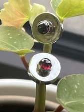 Wunderschöne Ohrstecker