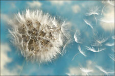  VLIES FOTOTAPETE XXL TAPETE