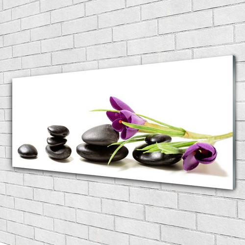Acrylglasbilder wandbilder aus - acrylglasbilder,