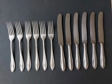 BSF 100 Platura Früchte-Dekor