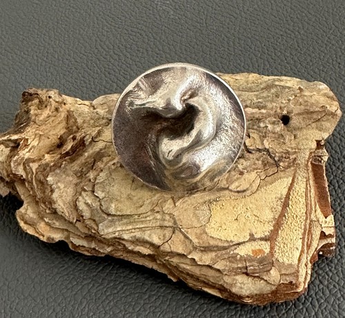 Lapponia ring björn - lapponia,