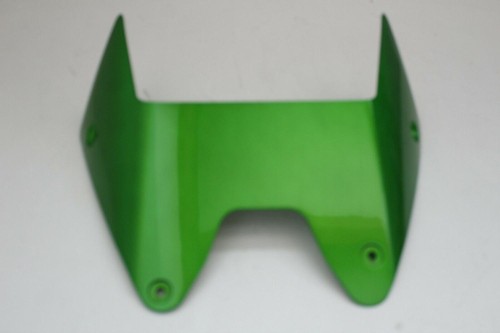 Kawasaki bugspoiler bug - kawasaki,