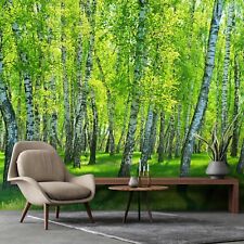 WALD BIRKE BIRKENWALD 3D