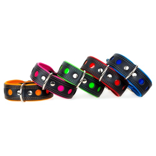 Lederhalsband reflektor kreis - lederhalsband,