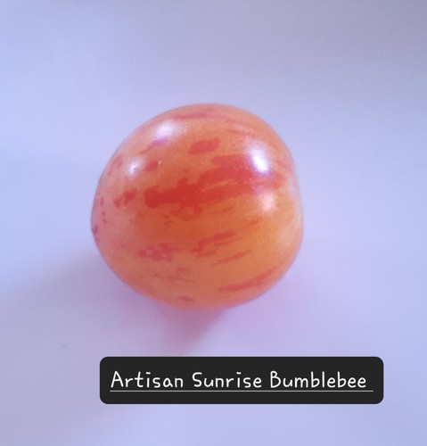 Tomatensamen artisan sunrise - tomatensamen,