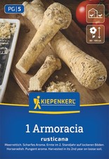 Kiepenkerl Meerrettich zum