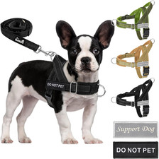 Hundegeschirr mit leine für - hundegeschirr,
