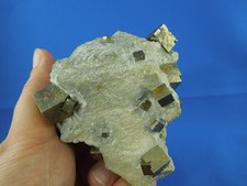 Pyrit in Mergel, Navajun, La Rioja, Spanien (K136)