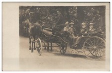 XX2741/ Kutsche Pferde Foto AK