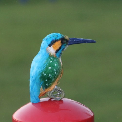 Realistische eisvogel vogel - eisvogel,