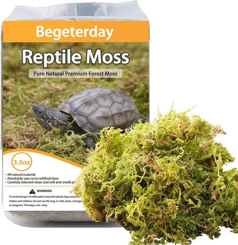 99g reines natürliches moos - natürliches,