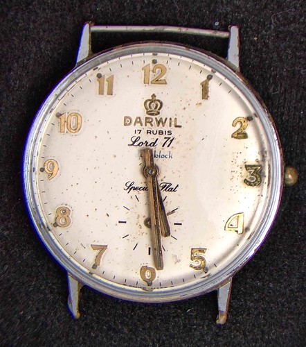 Darwil lord special flat - lord,