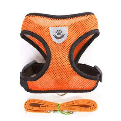 Soft mesh chihuahua oder - mesh,