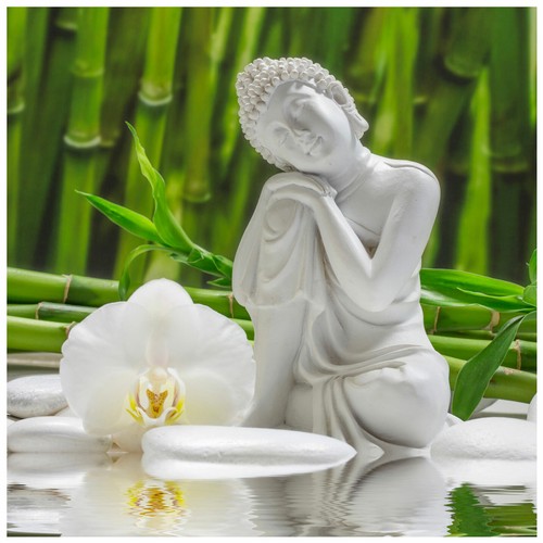 Levandeo glasbild 30x30cm - glasbild,