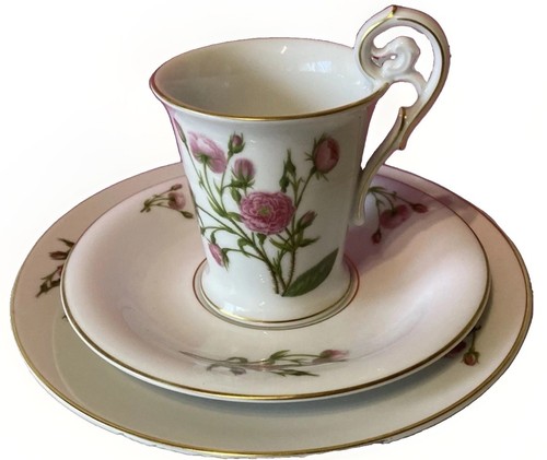 Classic rose rosenthal - classic,