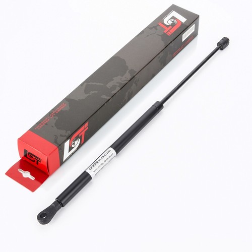 Gasdruckfeder lifter - gasdruckfeder,