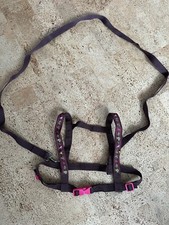 Pferdefreunde Pferdeleine Pferdegeschirr mit Glöckchen + Hundegeschirr & Leine