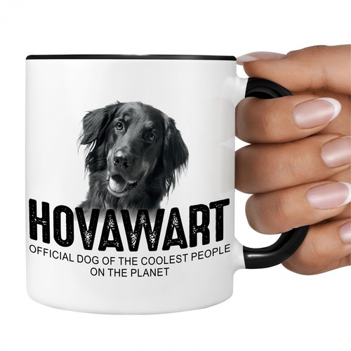 Hovawart hovi hund - hovawart,