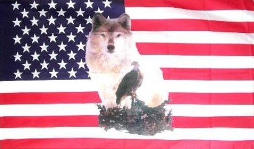Fahne flagge usa - flagge, mit
