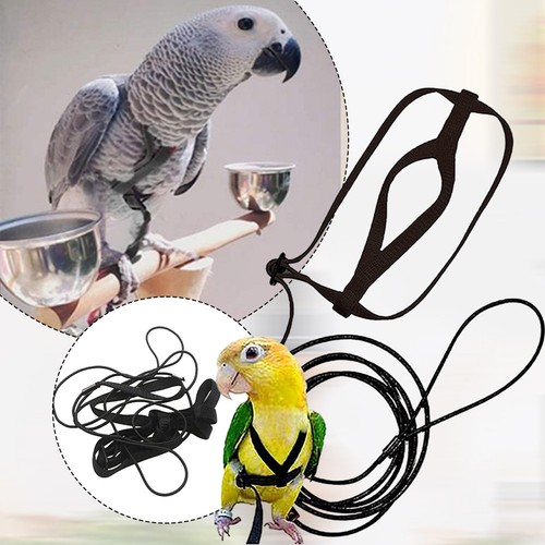 Weste design papagei vogel - design,