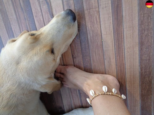 Fussband fusskette - fussband,, &