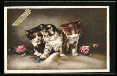 Künstler drei katzenbabys - künstler-ak,