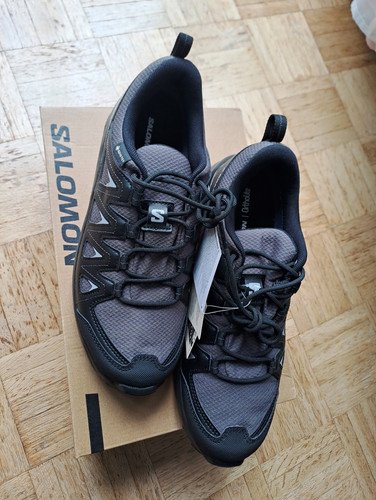 Salomon braze gtx - x,