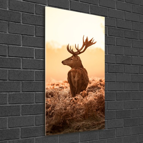 Wand bild kunstdruck aus - wand-bild,
