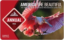 America the Beautiful 2025  -