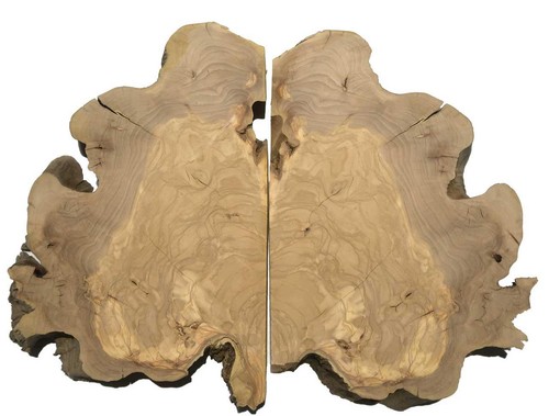 Oliven wurzelholz holz für - 2x,