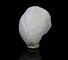 Mineralien Sammlung