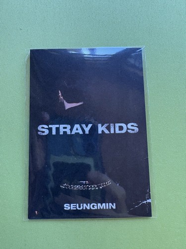 Stray kids seungmin - stray,