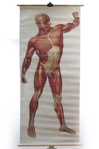 Alte lehrtafel die - alte,