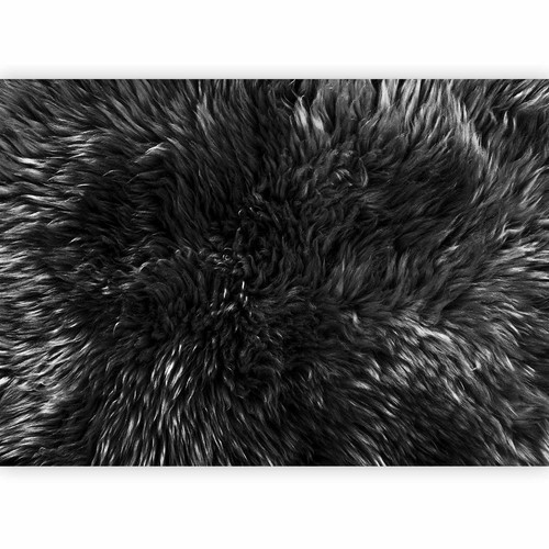Fell optik vlies fototapete - optik,