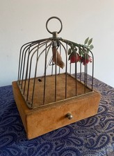 Ein ungewöhnlicher alter